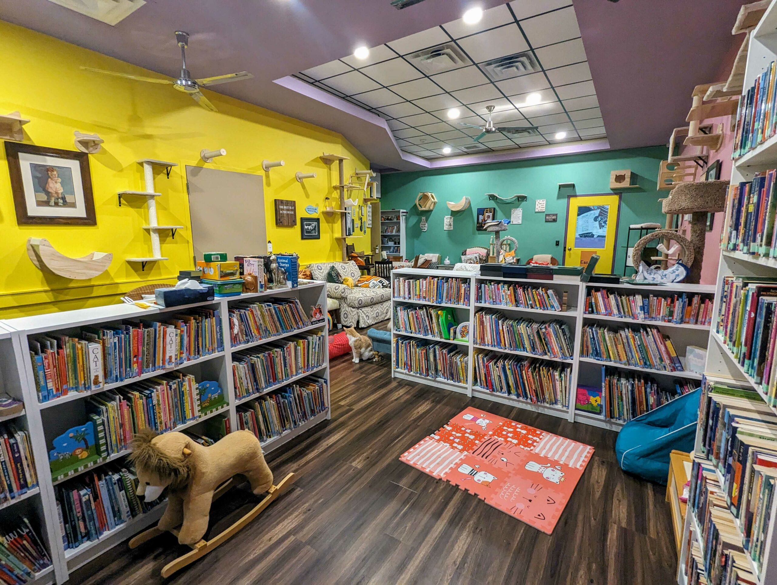 Interior of Yay for Stray Cat Cafe showcasing its vast collection of books