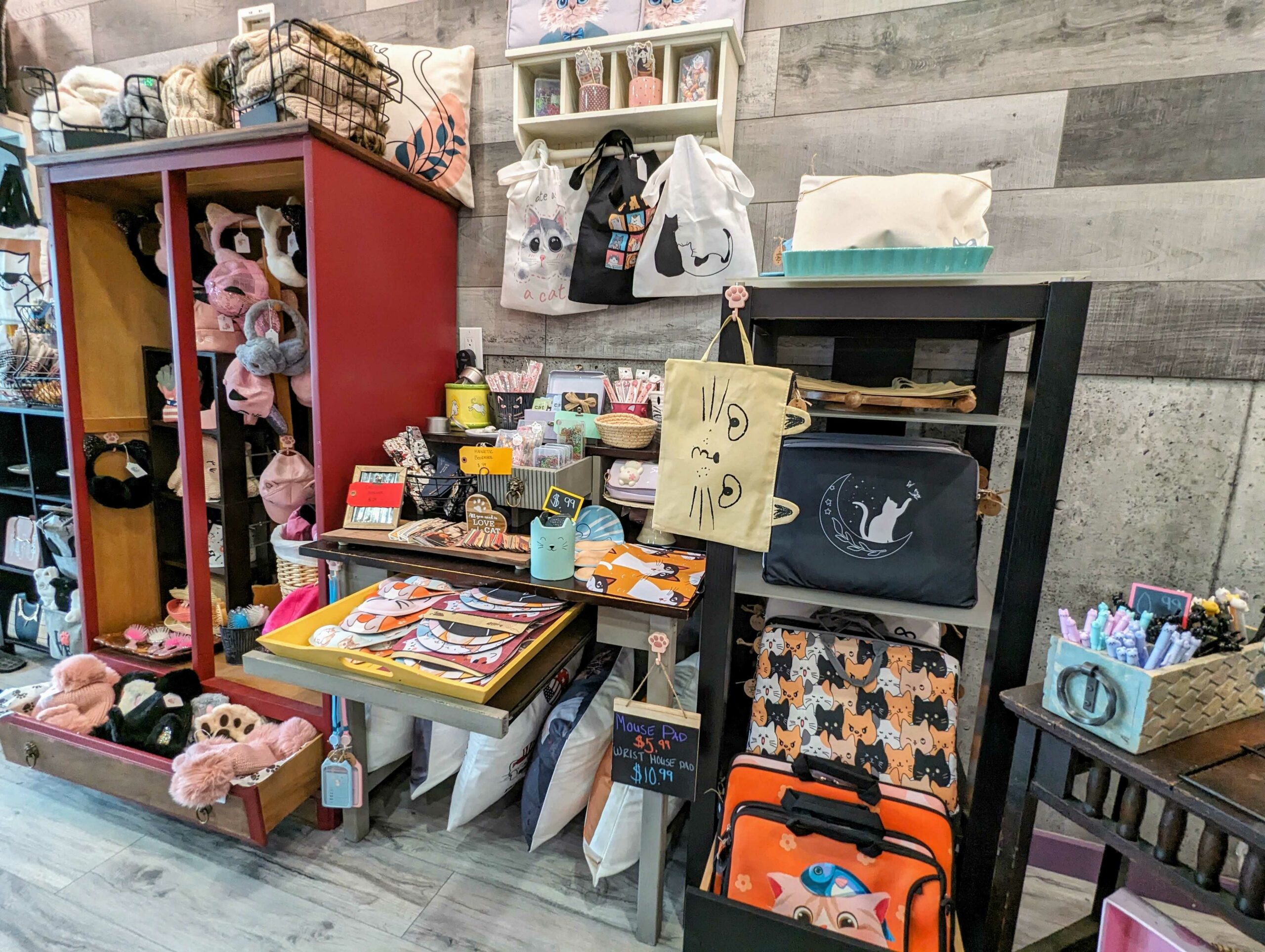 Interior of Yay for Stray Cat Cafe showcasing some of their products for sale