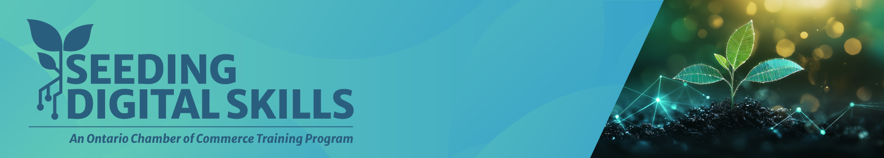 Seeding Digital Skills Nov. 6